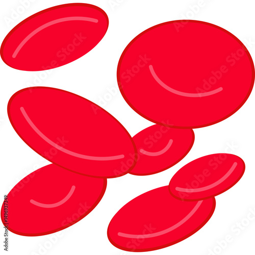 Red Blood Cells