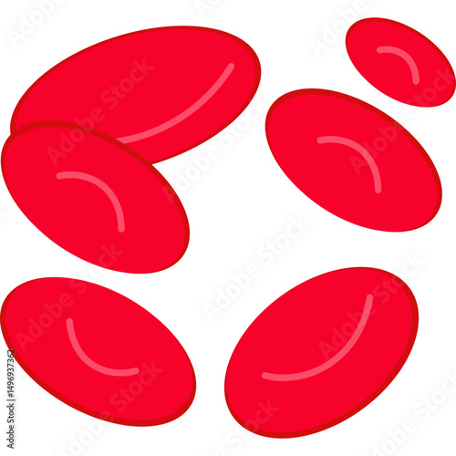 Red Blood Cells
