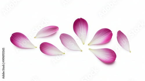 Beautiful flower petals isolated on white background, delicate petals, colorful floral parts, soft texture, natural beauty, fresh flower details, close-up petals, clean background, vibrant colors