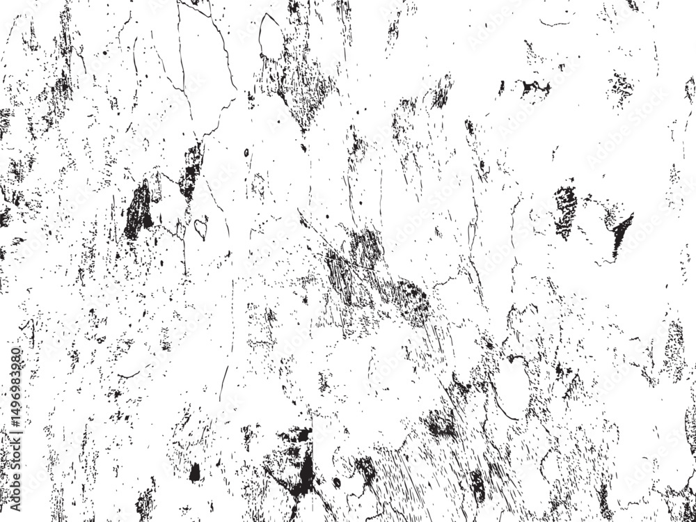 Obraz premium Abstract Black and White Grunge Texture Silhouette