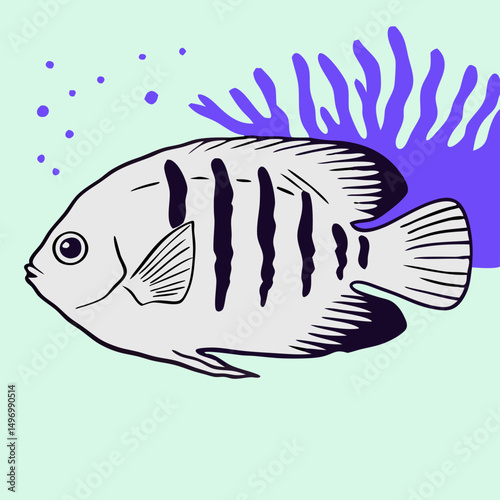 Illustration of a French Angelfish with Coral