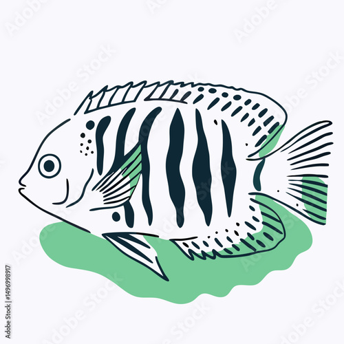 Line Art Illustration of a Freshwater Angelfish