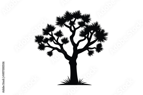 Joshua Tree silhouette line art on white background