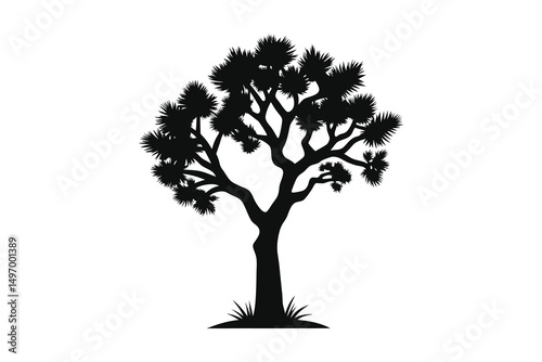 Joshua tree black silhouette silhouette on white background