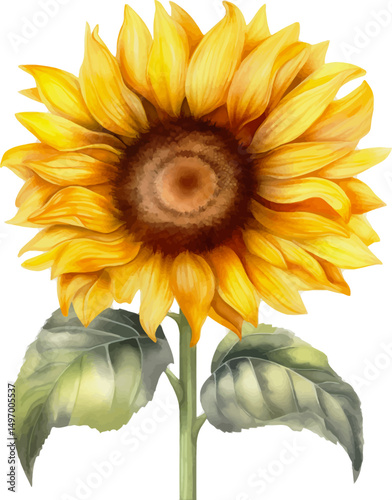 Watercolor painting of a large sunflower with bright yellow petals and a dark center surrounded by green leaves - vector illustration