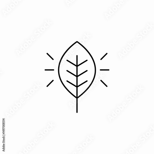 energy leaf icon sign vector
