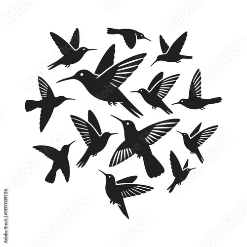 A curated set of minimalist hummingbird vector illustrations featuring sleek lines, simple shapes, and elegant designs ideal for modern projects.