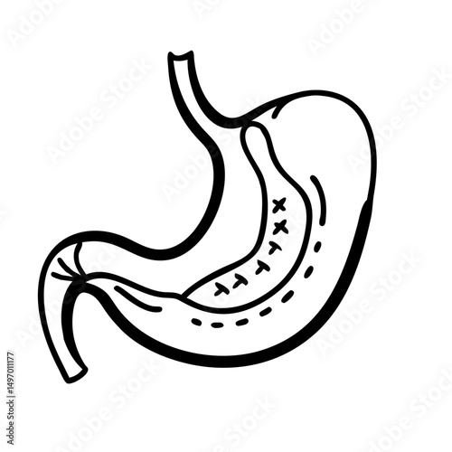 hand-drawn sketch human intestine illustration