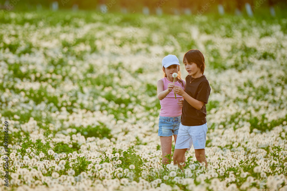Fototapeta premium two cute children playing in a dandelion meadow.