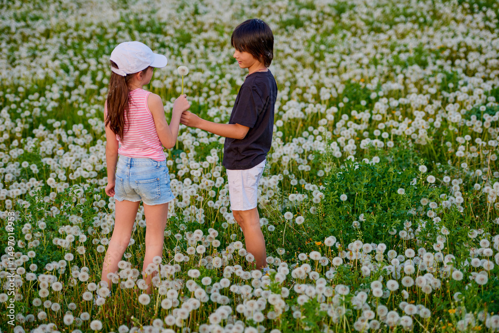 Fototapeta premium two cute children playing in a dandelion meadow.