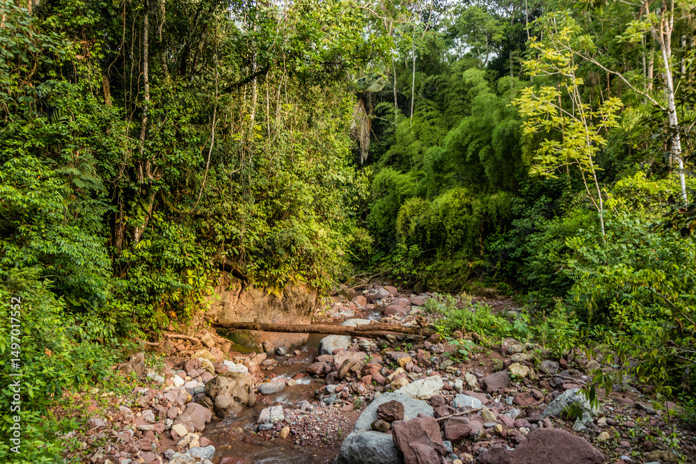 Fototapeta premium Small stream near Pozuzo village, Peru