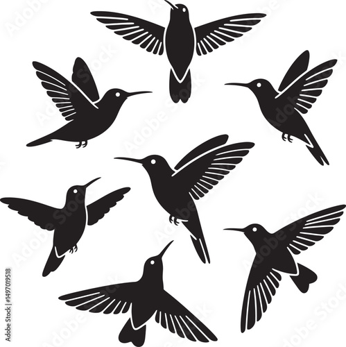A curated set of minimalist hummingbird vector illustrations featuring sleek lines, simple shapes, and elegant designs ideal for modern projects.