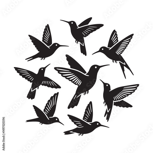 A curated set of minimalist hummingbird vector illustrations featuring sleek lines, simple shapes, and elegant designs ideal for modern projects.
