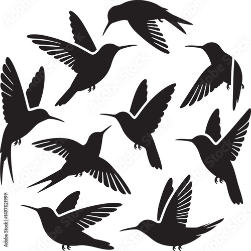 A curated set of minimalist hummingbird vector illustrations featuring sleek lines, simple shapes, and elegant designs ideal for modern projects.