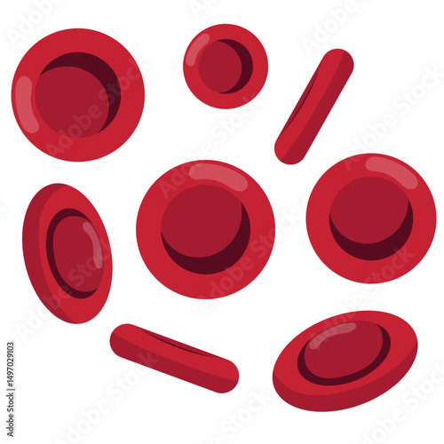 Red Blood Cells Illustration