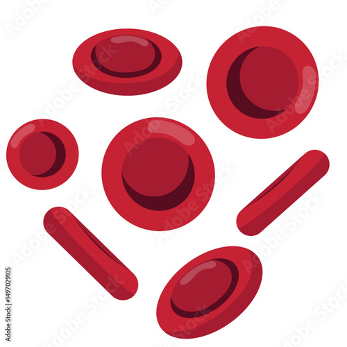 Red Blood Cells Illustration