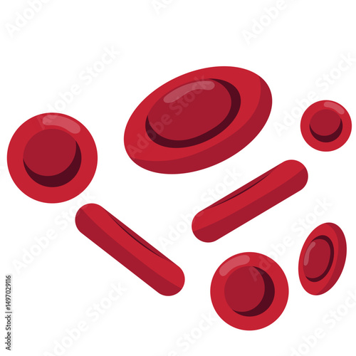 Red Blood Cells Illustration