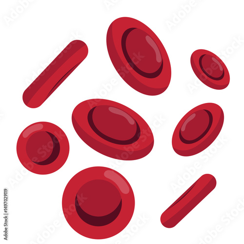 Red Blood Cells Illustration