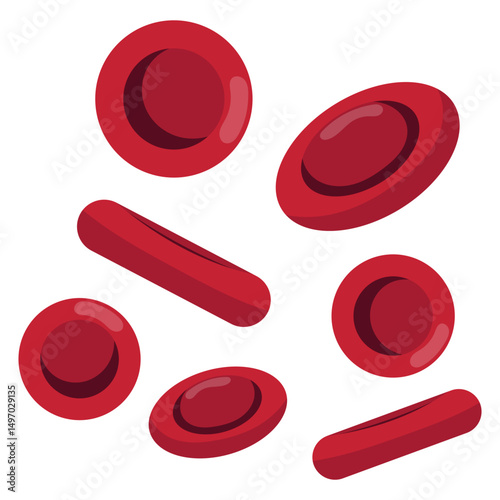Red Blood Cells Illustration