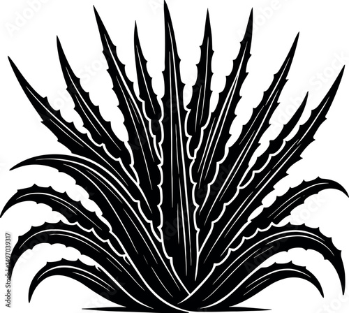 Aloe vera vector black silhouette print design