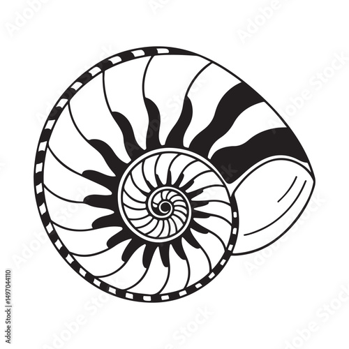 Vector Line Art Illustration of a Stylized Seashell Detailed Spiral and Textured Ridges, Minimalist.