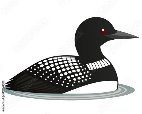 a striking watercolor of a common loon with its black and white feathers