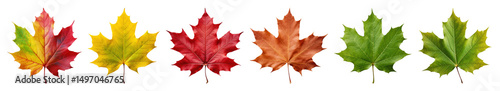 PNG Colorful autumn maple leaves row, element set on transparent background