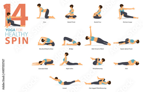 14 Yoga poses or asana posture for workout in healthy spin concept. Women exercising for body stretching. Fitness infographic. Flat cartoon vector.