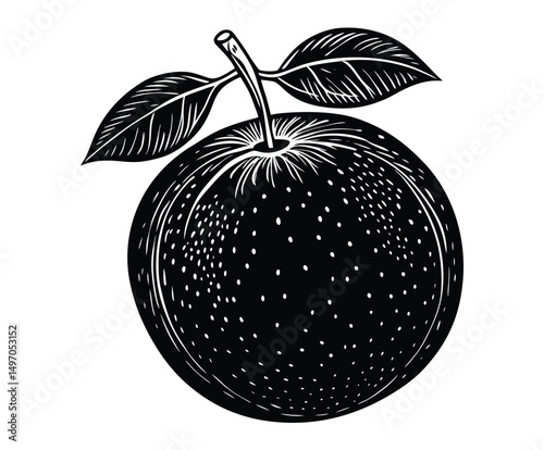 Vector illustration of fresh fruit apples with a leaf, a healthy food and nature symbol design