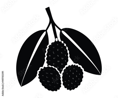 Vector illustration of fresh grapes, berries, and raspberry on a vine with green leaves, perfect for fruit, food, or wine designs