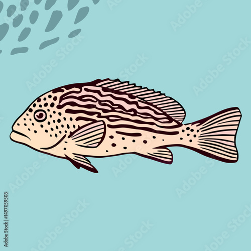 Illustration of a Spotted Coral Grouper Fish