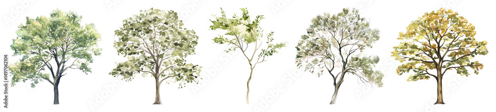 Obraz premium PNG Illustrated trees in seasonal transition, element set on transparent background