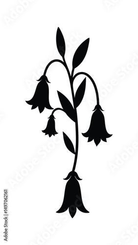 Black Silhouette Bellflower Stem
