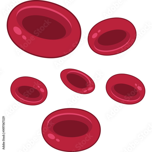 Red Blood Cells