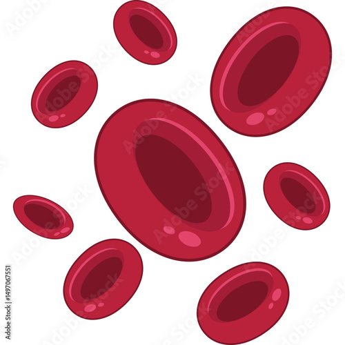 Red Blood Cells