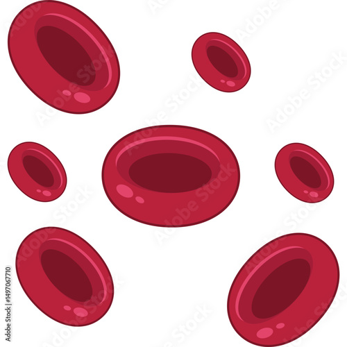 Red Blood Cells