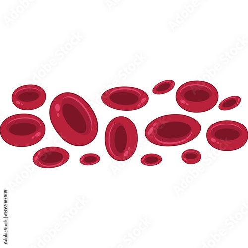 Red Blood Cells