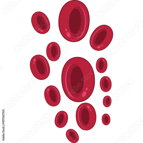 Red Blood Cells