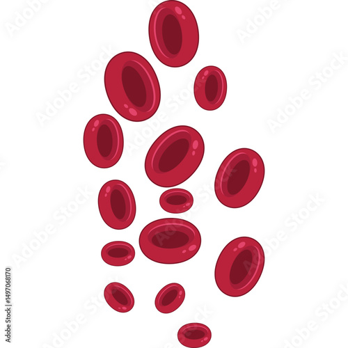 Red Blood Cells