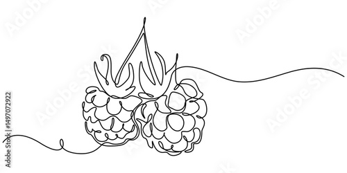 raspberry berry is drawn by one continuous line on a background of abstract spots of crimson and green colour on a white background, Raspberry vector colour illustration, background, sketch banner.