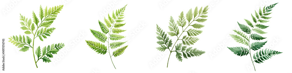 Naklejka premium A close up view of delicate vibrant fern fronds with intricate patterns and lush verdant foliage in a serene natural environment