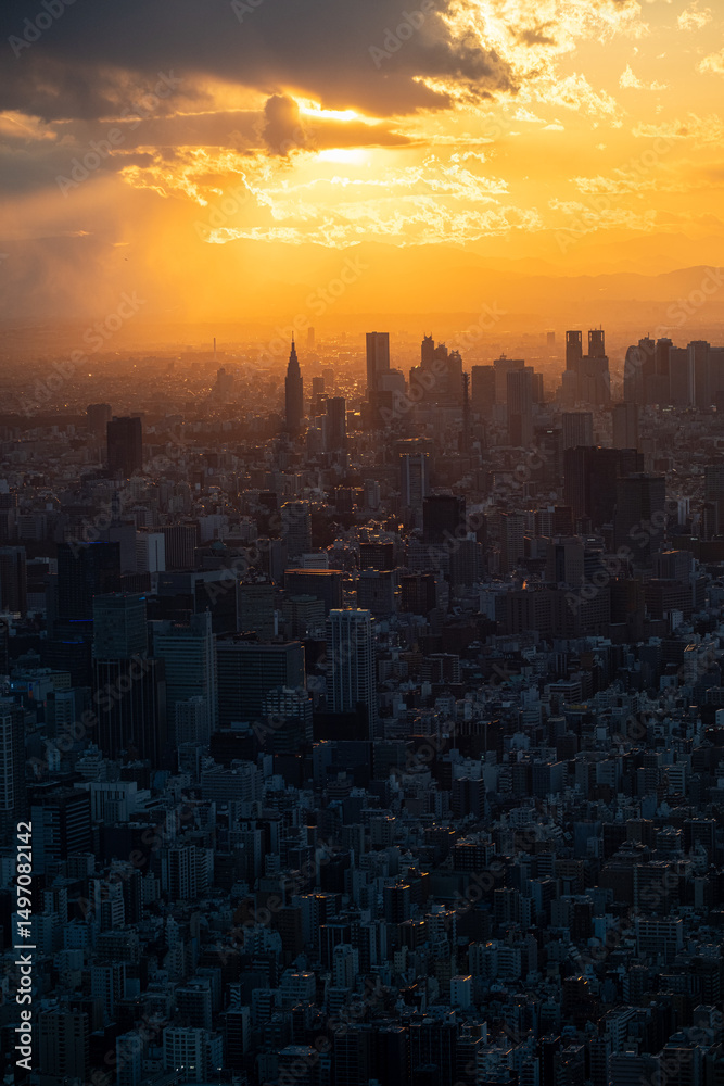 Obraz premium Tokyo Sunset