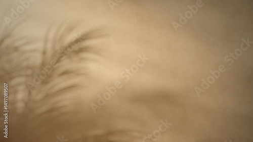 4K Seamless loop of soft palm leaf shadows on warm beige background, natural light animation with copy space, tropical overlay texture for motion graphics, branding visuals, product backdrop