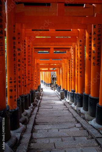 Japanese Torii Gates