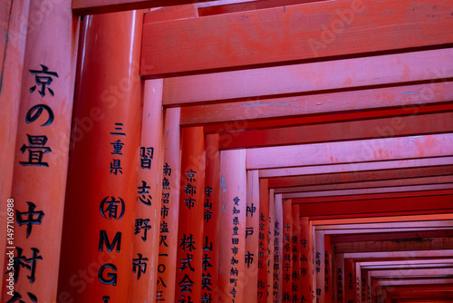 Japanese Torii Gates