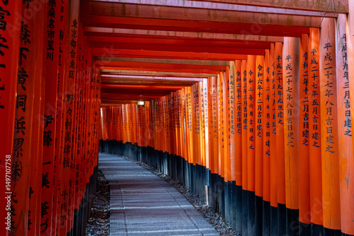 Japanese Torii Gates
