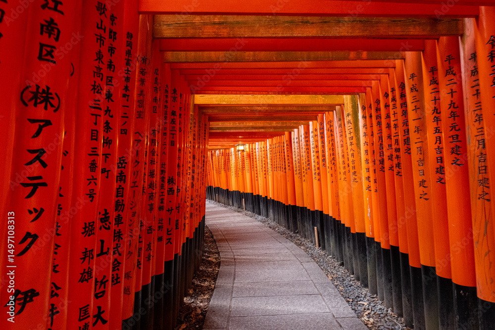 Fototapeta premium Japanese Torii Gates