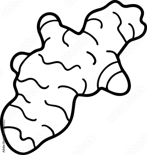 ginger outline line art illustration, coloring book page