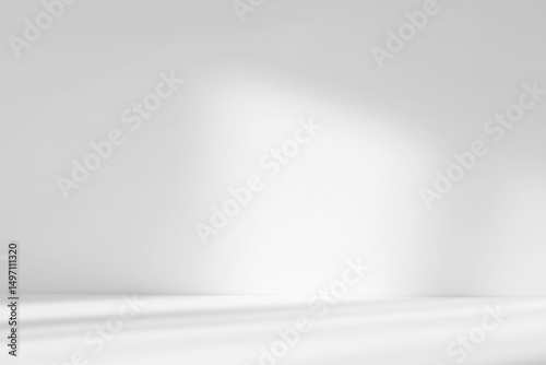 Abstract white studio background with shadows of window. Empty 3d gray room with copy space. Display product with blurred backdrop.