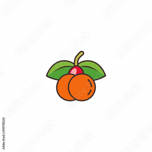 orange fruit with leaves